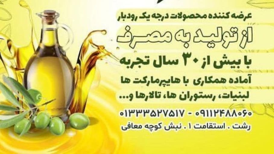 زیتون آبرون در گیلان